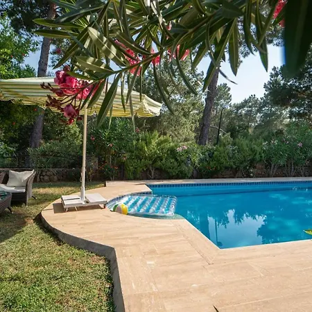 Hotel Oeluedenizde Bir
